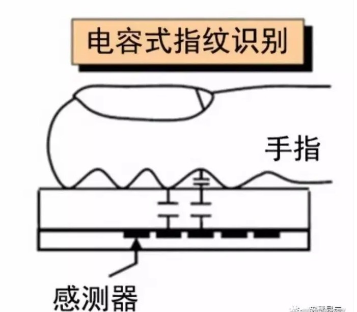 電容式指紋識(shí)別